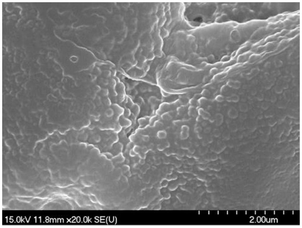 Cinnamaldehyde Pickering emulsion for inhibiting growth and toxin production of aspergillus ochraceus and preparation method thereof