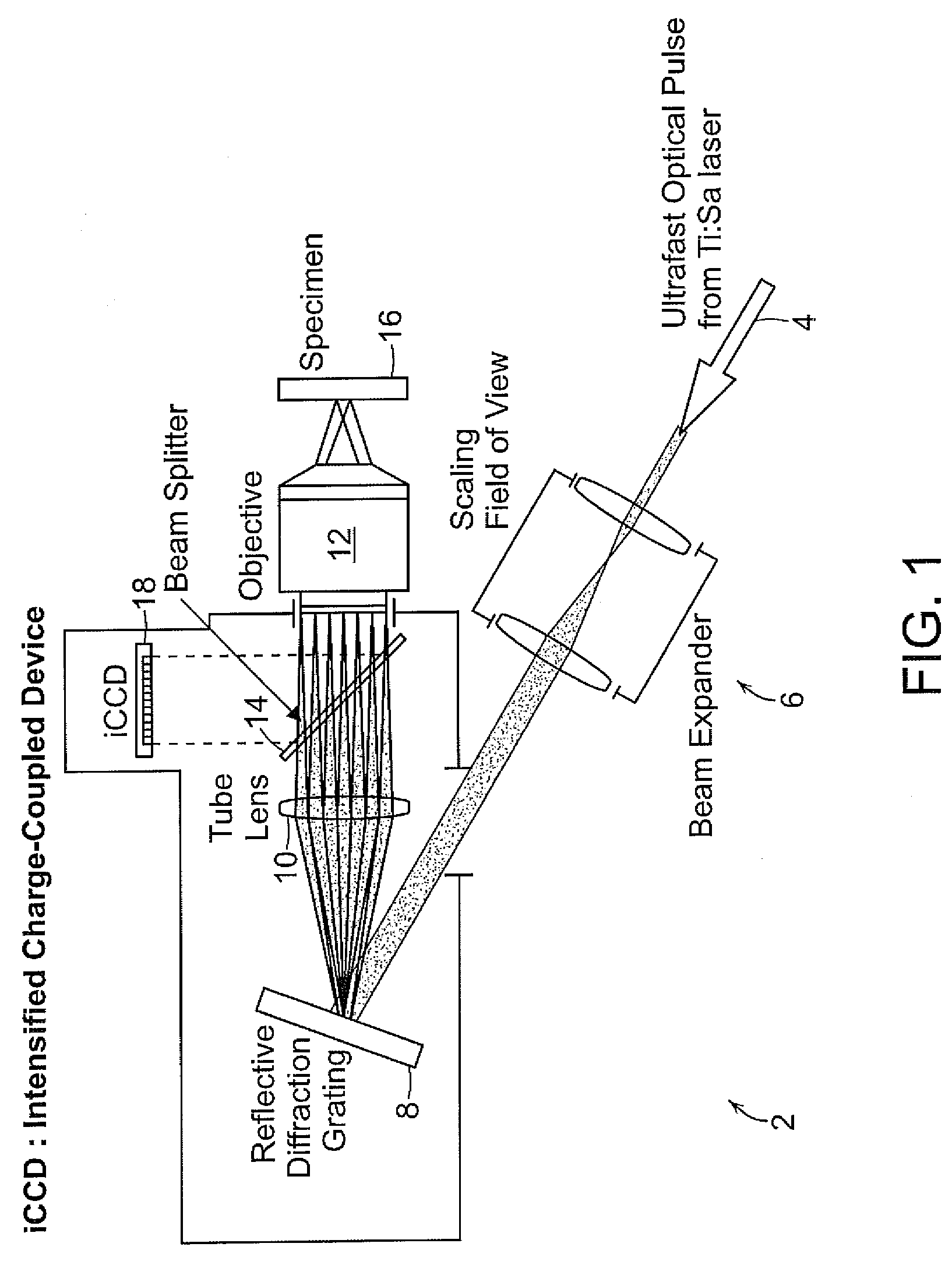 3D two-photon lithographic microfabrication system