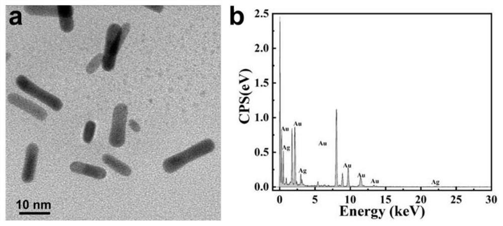 Raman spectrum detection method of phenylalanine enantiomer