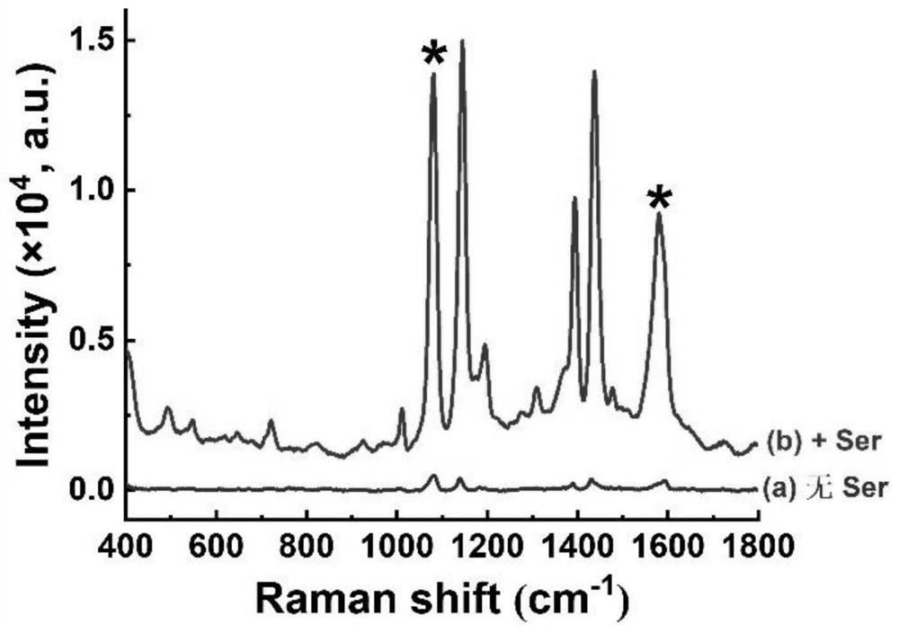 Raman spectrum detection method of phenylalanine enantiomer