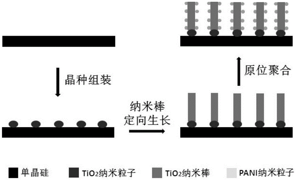 Si-TiO2-PANI (silicon-titanium dioxide-polyaniline) composite material assembled based on ternary hierarchy and application thereof