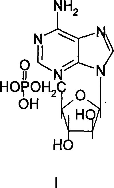 Synthesis process of adenosine aose monophosphate