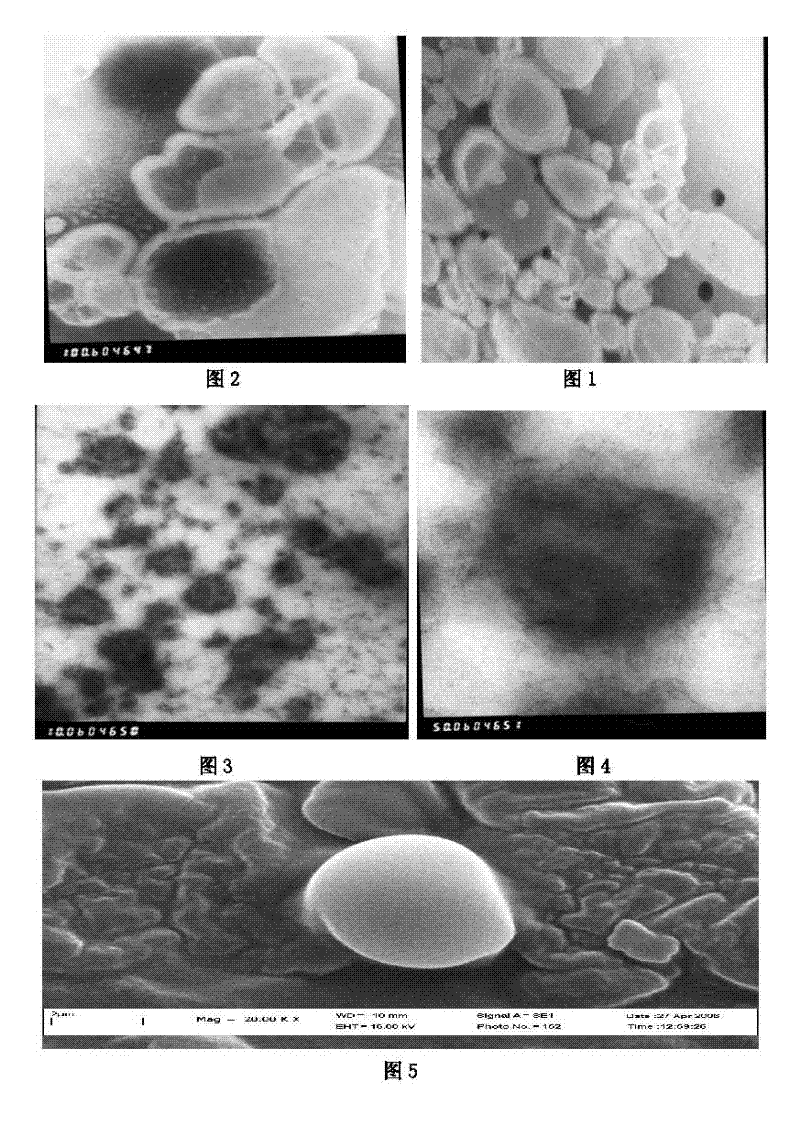 Natural progesterone proliposome preparation and preparation method and using method thereof