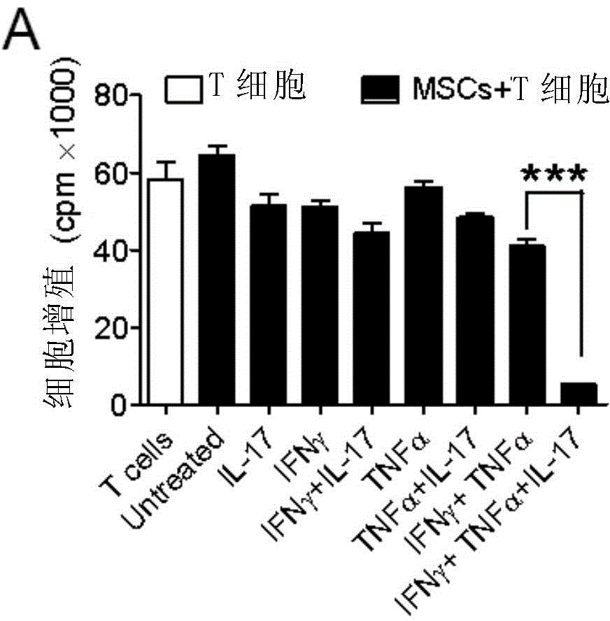 Application of IL-17 in improving mesenchymal stem cell immunity inhibition function