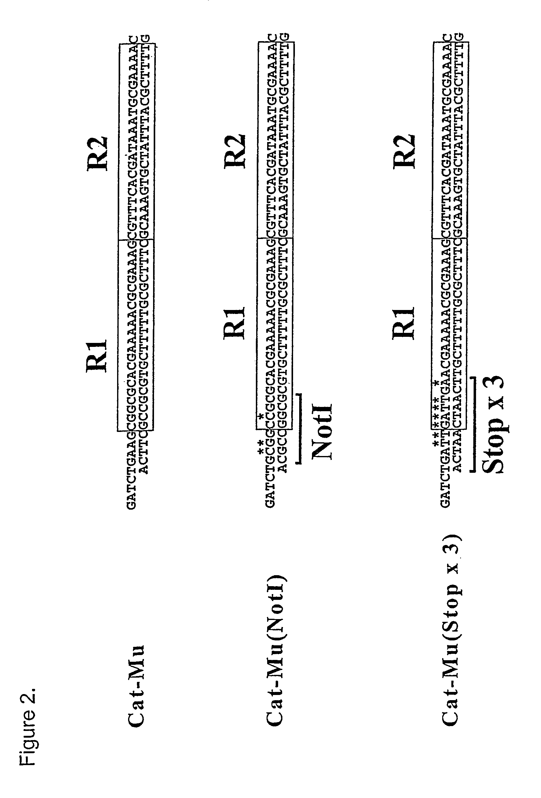 Method and materials for producing deletion derivatives of polypeptides