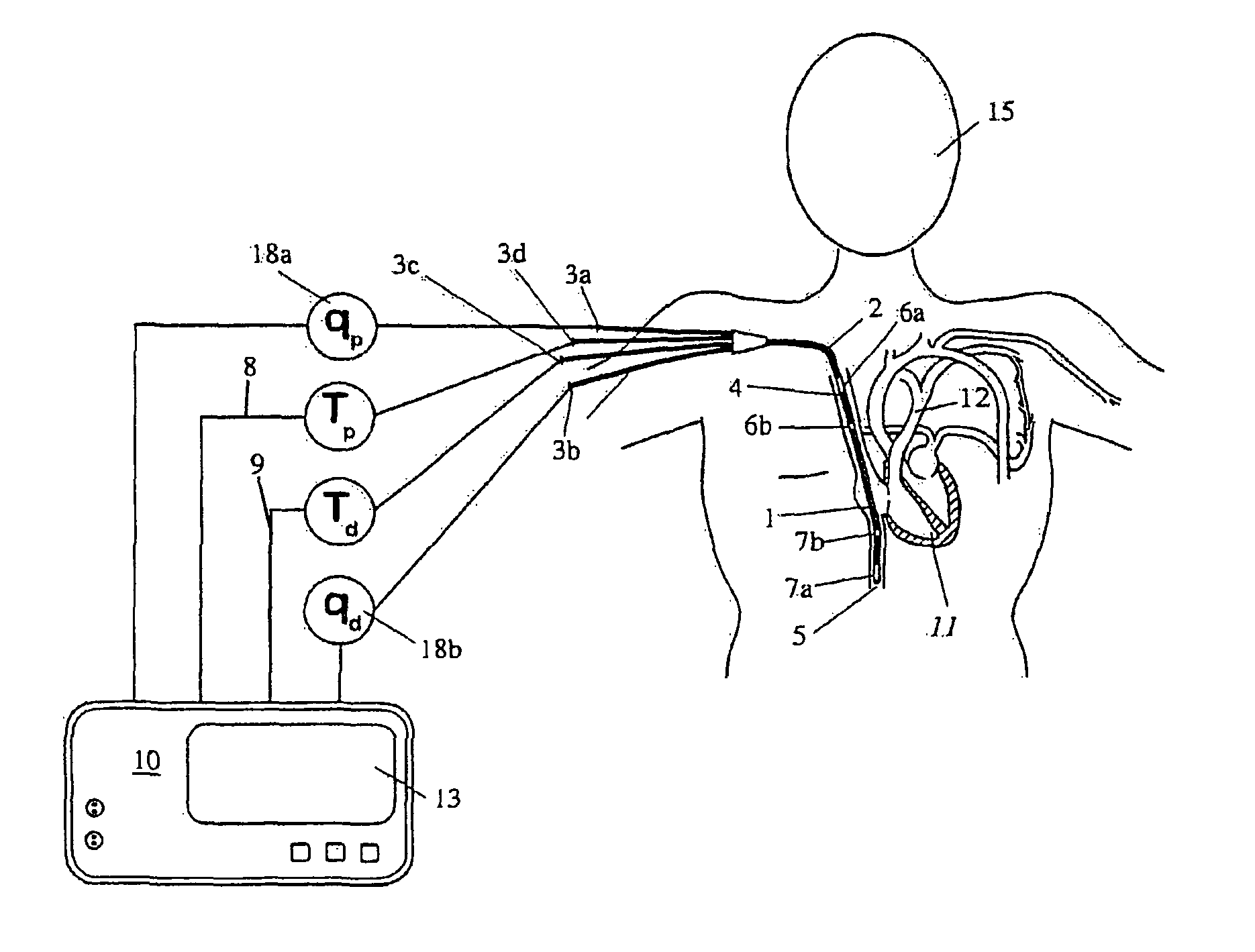 Central venous catheter assembly for measuring physiological data for cardiac output determination and method of determining cardiac output