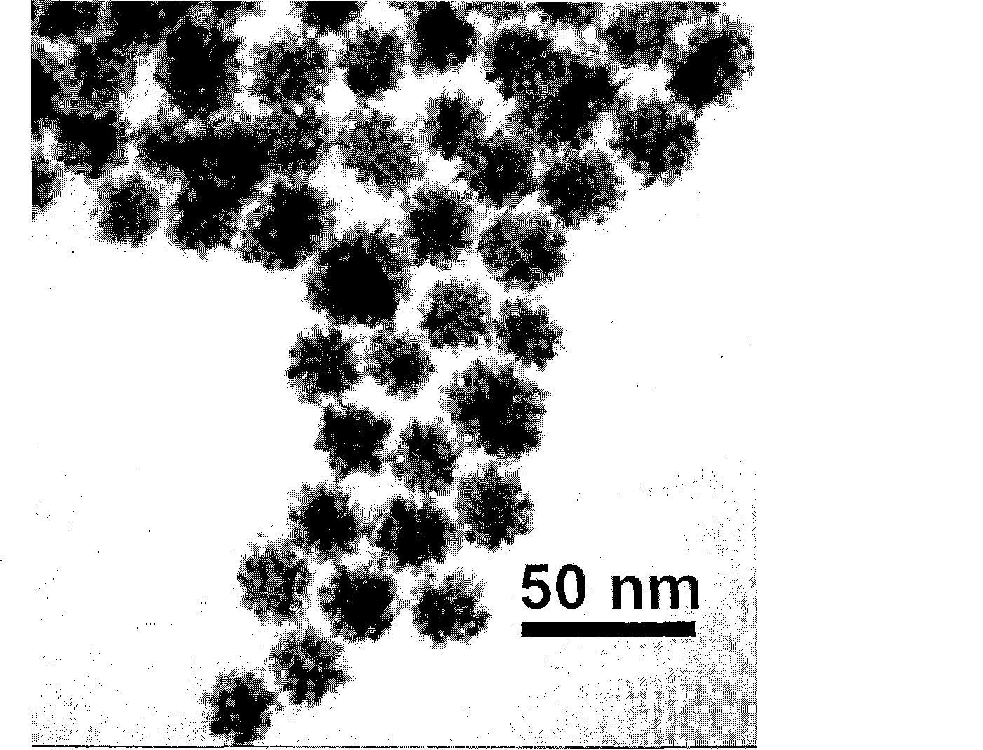 Method for preparing monodisperse flower-shaped gold/platinum hybrid nano particles having different particle diameters