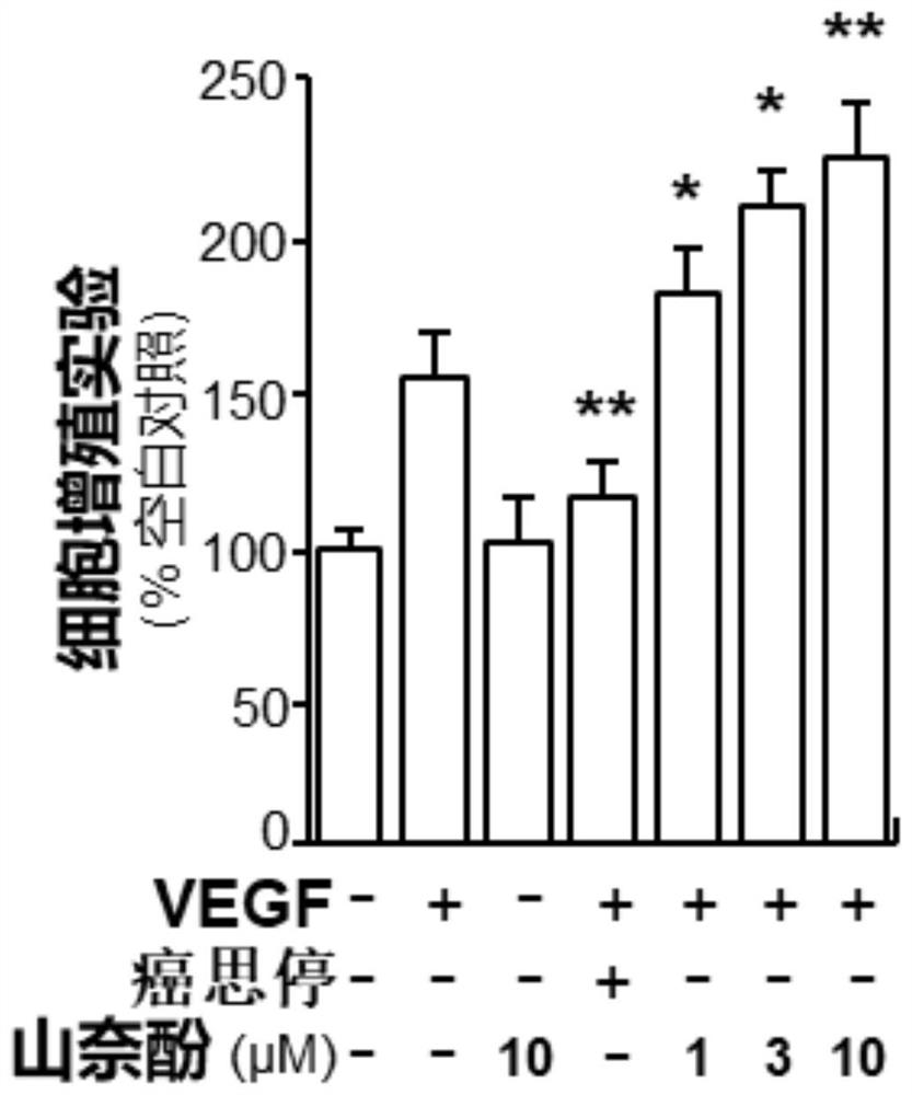 Application of kaempferol and its analogs