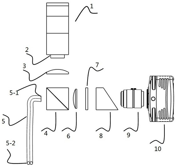 Endoscopic detection device for lateral spectrum detection