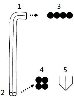 Endoscopic detection device for lateral spectrum detection