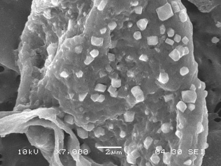 A kind of preparation method of silver oxide supported porous membrane