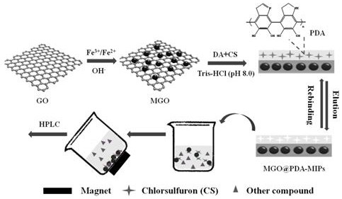 Preparation method and application of highly selective chlorsulfuron magnetic molecularly imprinted polymer