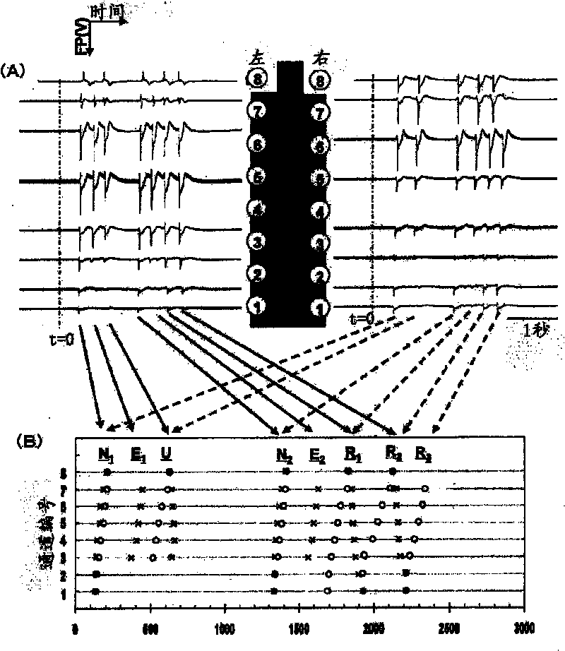 Cardiac reentry model chip and apparatus and method for evaluating drug using the cardiac reentry model chip