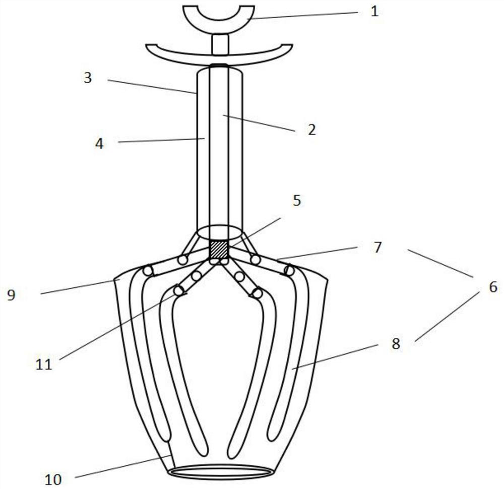 Device for taking surgical specimen through natural orifice