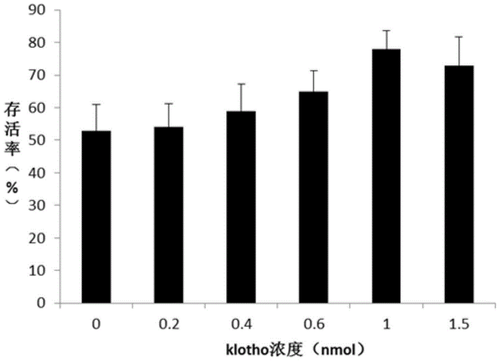 Use of Klotho gene editing in hetero-kidney transplatation