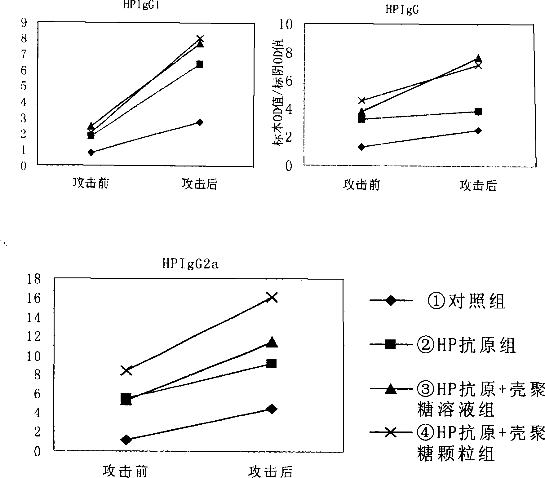 Application of chitosan for preparing helicobacter pylorus vaccine adjuvant
