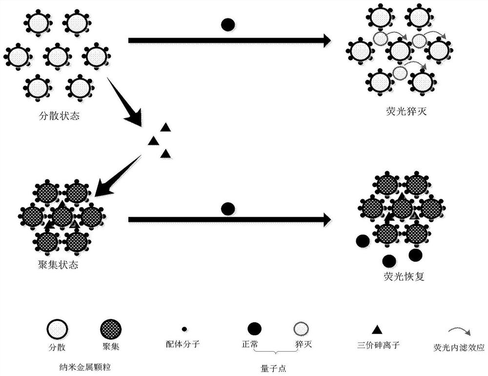 A kind of arsenic ion detection method