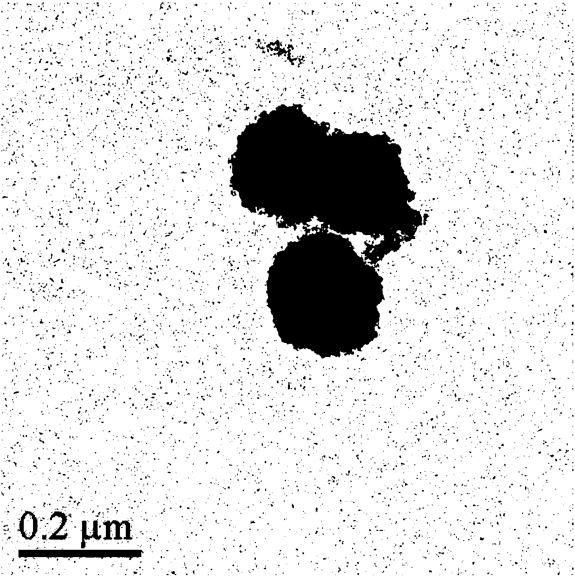 A composite magnetic nanoparticle fe3o4/mps/paa/nta-ni2+ and its preparation method and its application in the separation and purification of histidine-tagged proteins