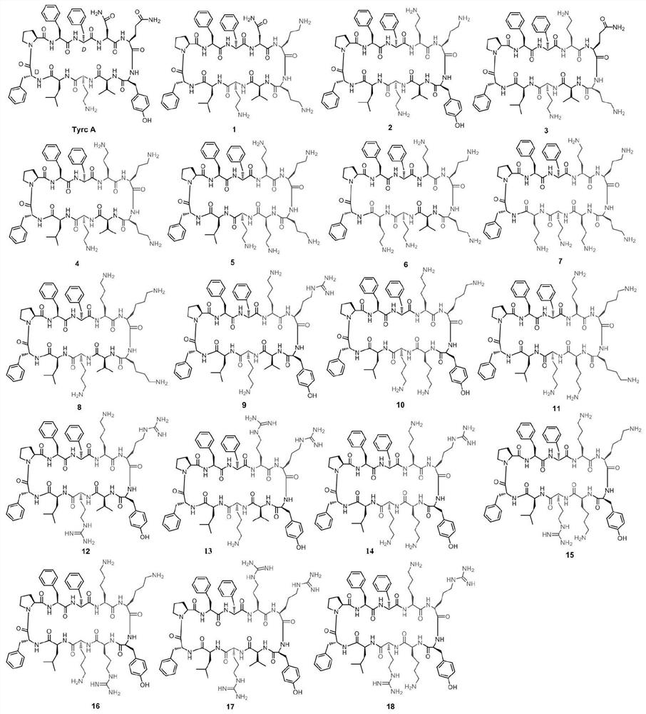 A kind of cyclic antimicrobial peptide analogue rich in positive charge and its application