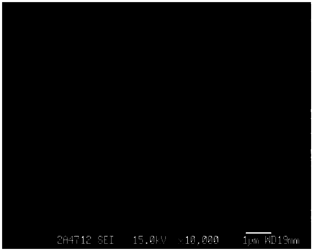 Application of artificial platelet PLAG-PEG-RCD to preparing systemic nanometer styptic for veins