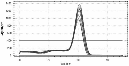 Primers, kits and methods for RT-qPCR detection of liver purine nucleoside phosphatase PNP gene transcription level in macaques