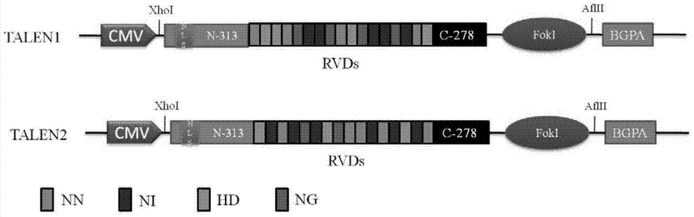 Multiple-exchange unmarked site-specific integration transgenic system and application thereof