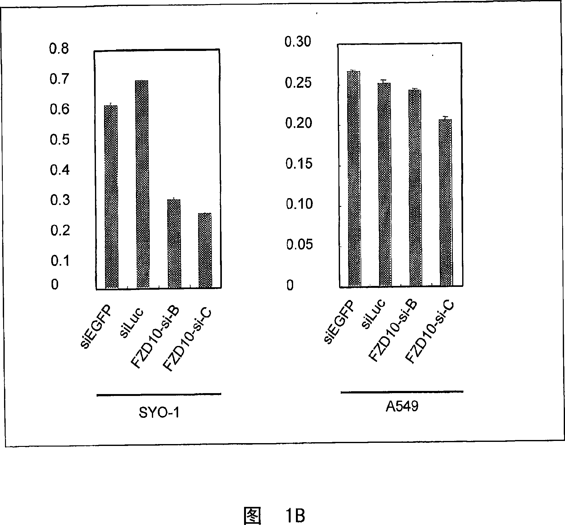 Method for treating synovial sarcoma using sirna for fzd10