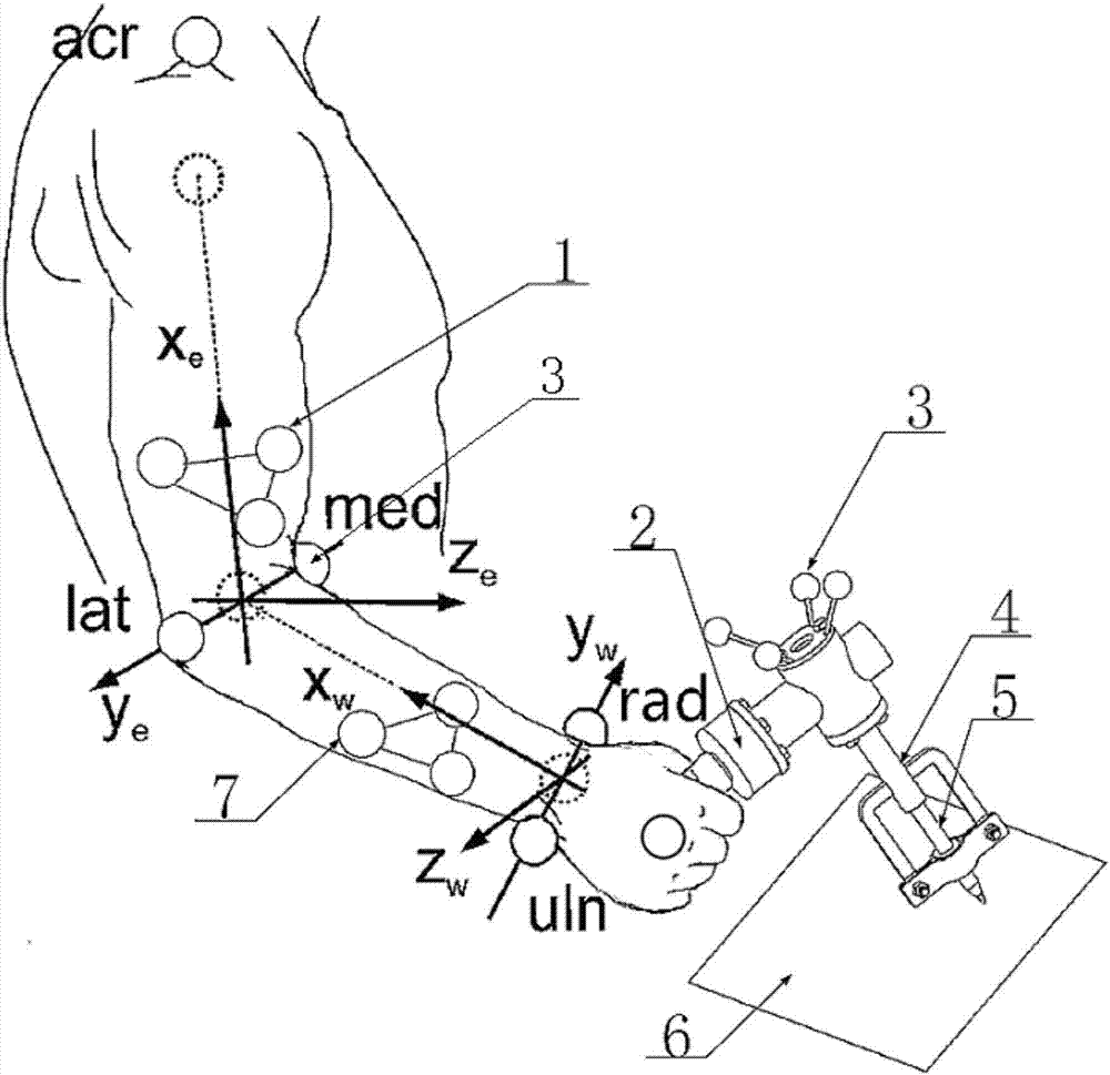 Measuring system and method of human upper limb kinetic characteristics and mechanical impedance