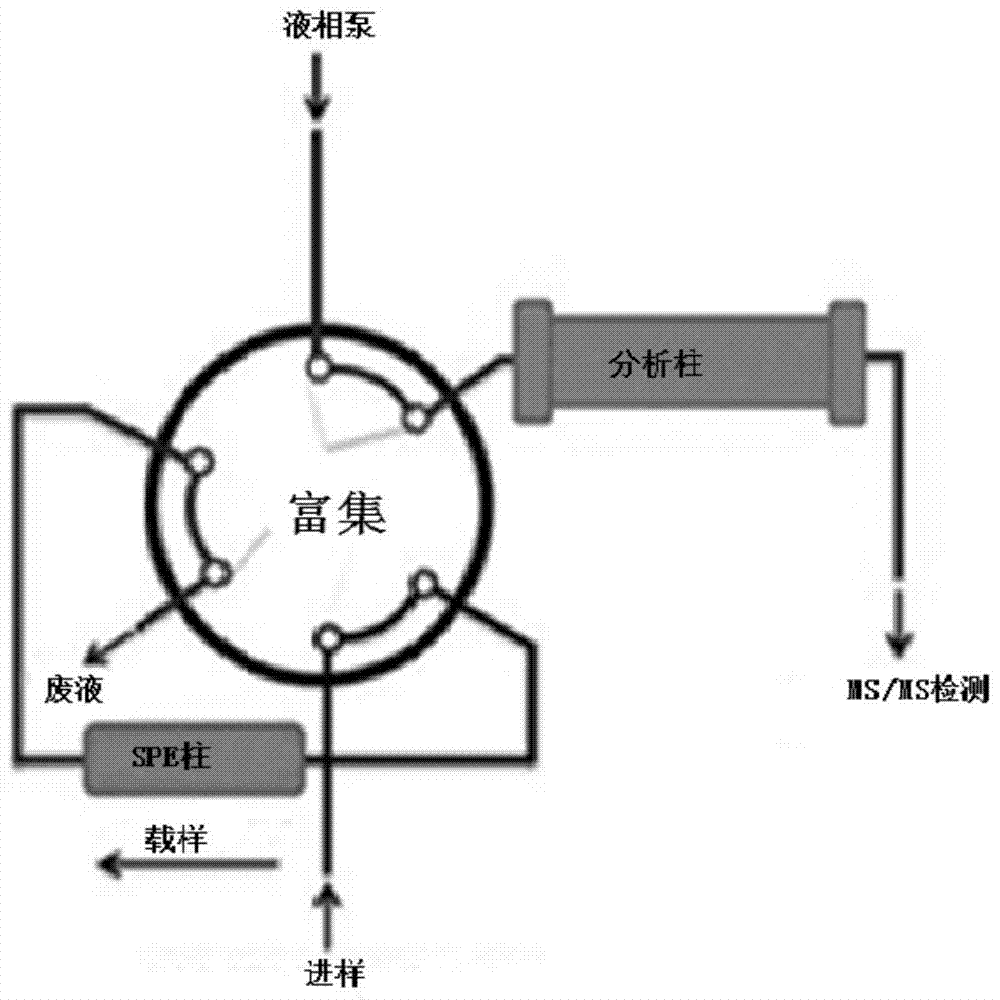 Pretreatment and detection method of biogenic amine neurotransmitter, and detection kit