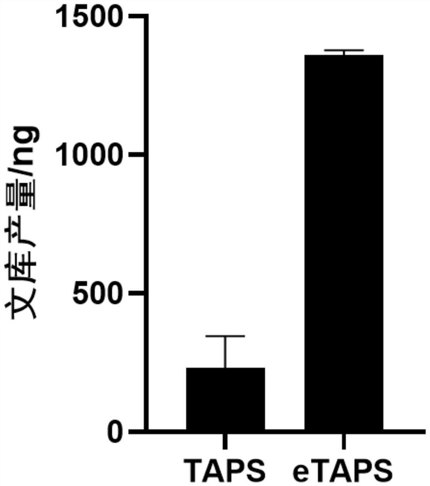 Nucleic acid methylation cytosine conversion method