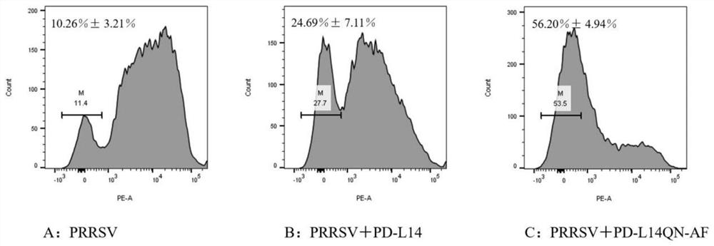 Pig PD-L14QN-AF epitope polypeptide and application thereof