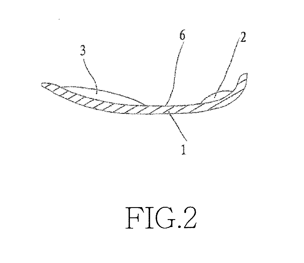 Structure of Correction Shoe Pad for Medical Purposes