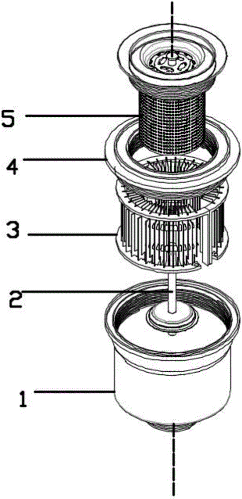 Drainer with purification function