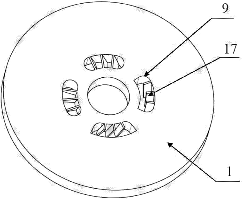 Soybean milk grinder rotor and soybean milk grinder