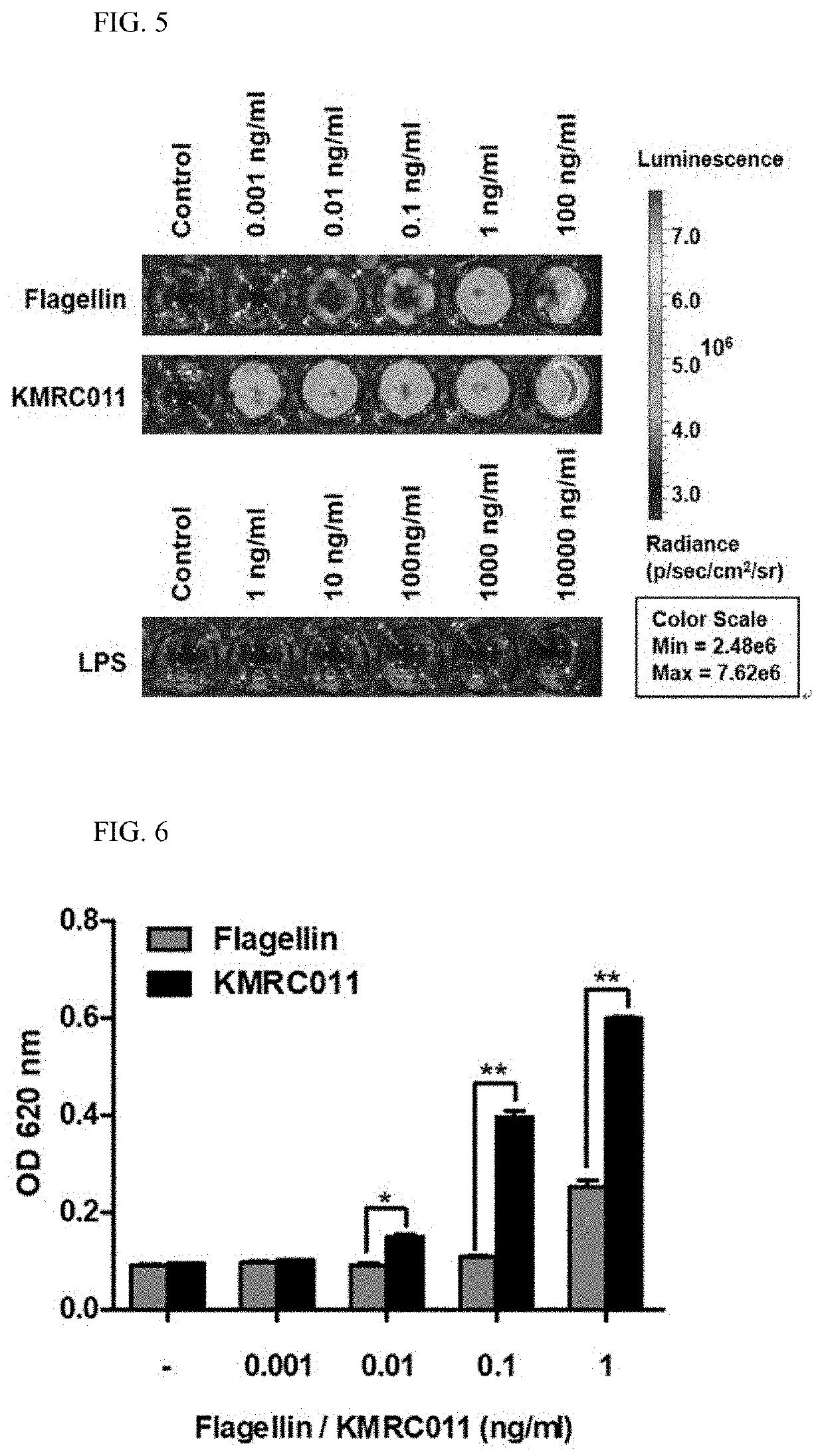 Composition for preventing or treating graft-versus-host disease comprising tlr5 agonist derived from flagellin as effective component