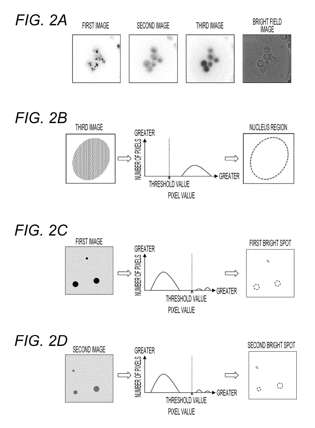 Fluorescence image analyzing apparatus, image processing method of fluorescence image, and computer program