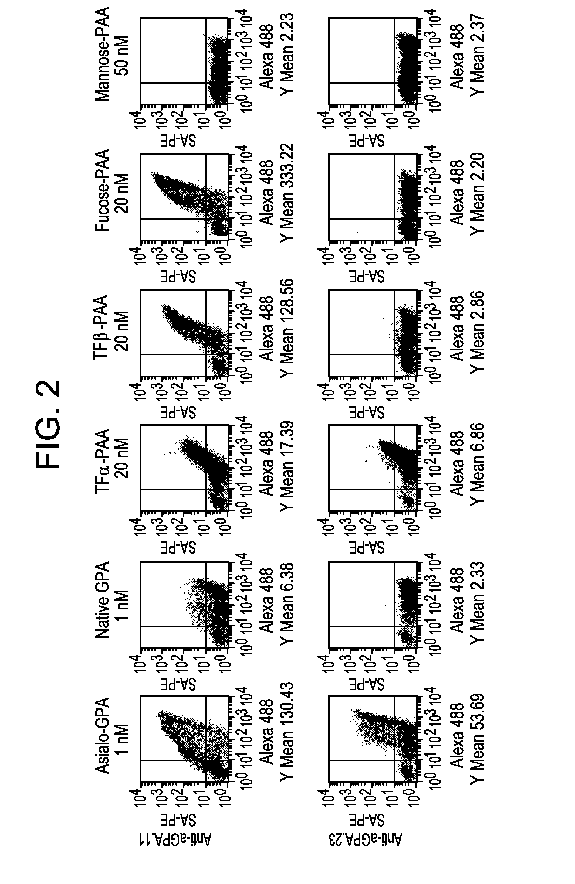 Lambodies with high affinity and selectivity for glycans and uses therefor
