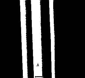 Tritium-blocking plating and preparation method thereof