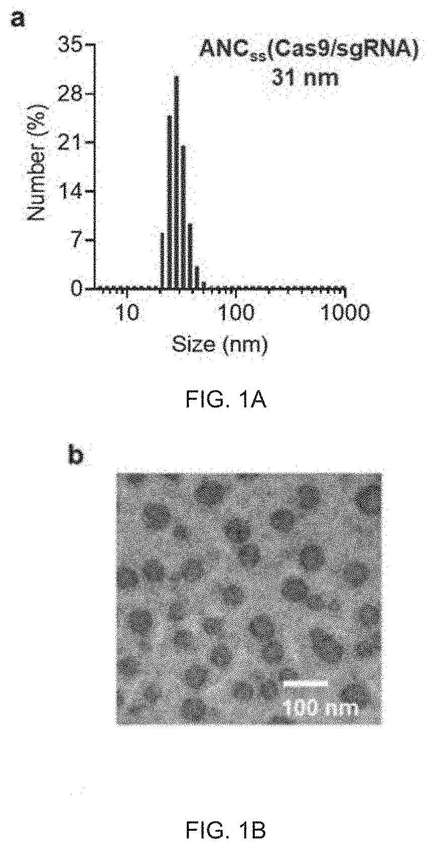 Gene Editing Nanocapsule and Preparation Method and Use Thereof