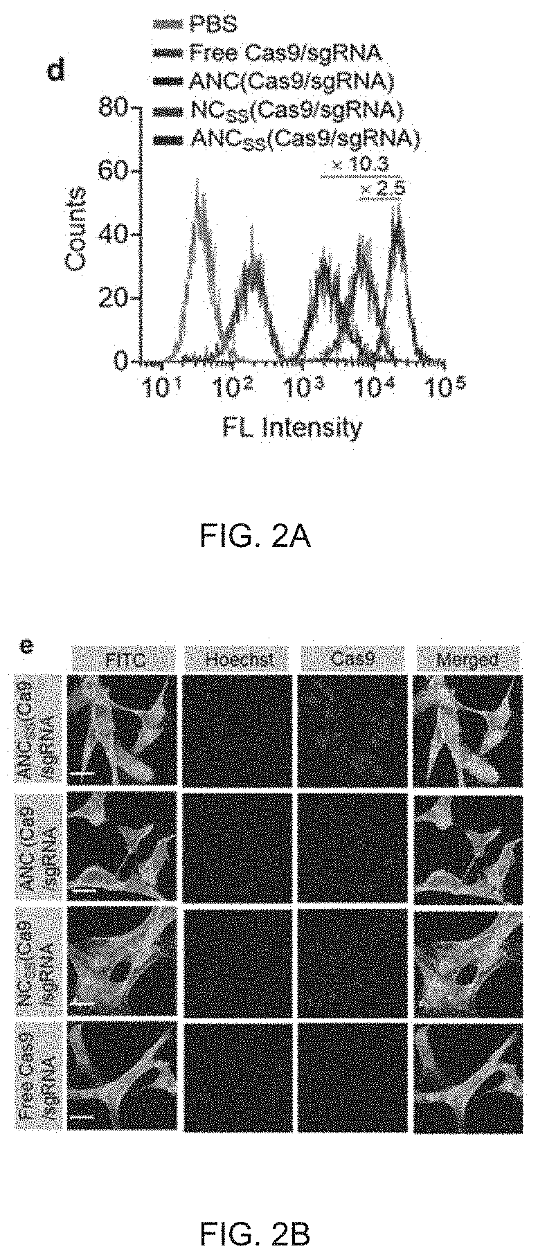 Gene Editing Nanocapsule and Preparation Method and Use Thereof