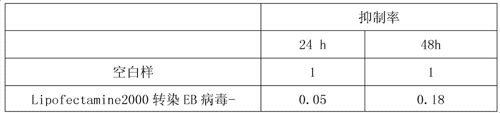 Application of EB virus miR-BART3 antisense oligonucleotides in preparing medicament for treating nasopharyngeal darcinoma