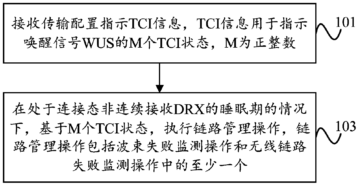 Link management method, wake-up signal detection method, terminal device and network device