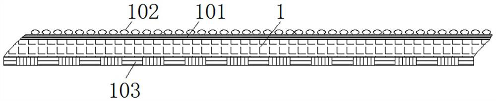 An anti-burning diffuse scattering film for fruit and vegetable greenhouses