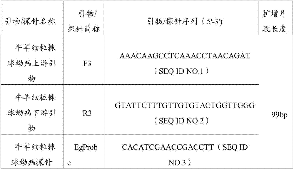 POCKIT Micro fluorescent PCR platform-based cattle and sheep echinococcosis granulose detection kit, and applications thereof