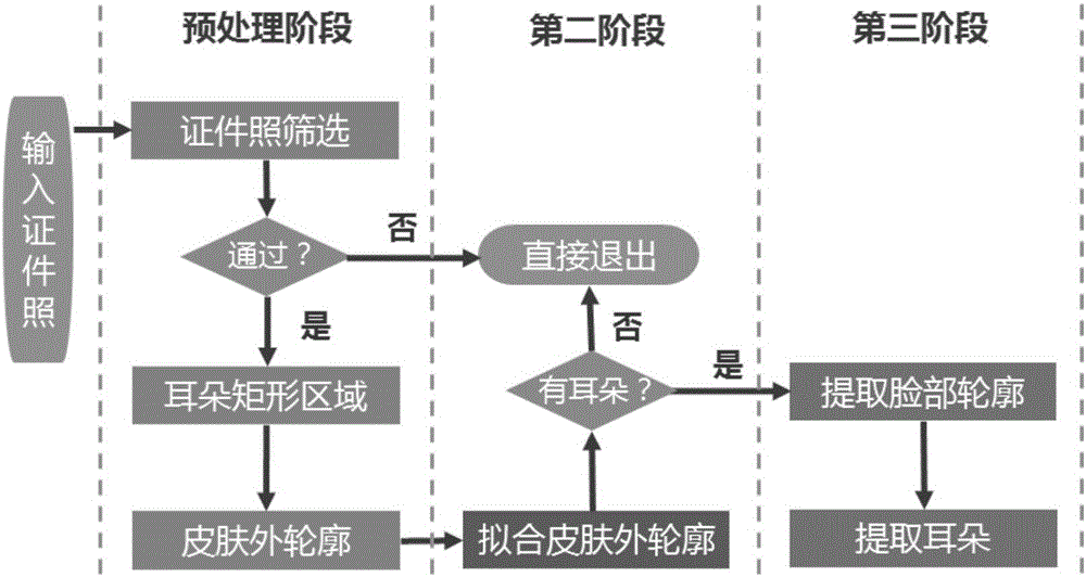 Identification photo ear detection and extraction method based on facial outline analysis