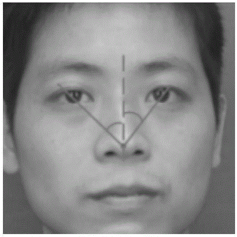 Identification photo ear detection and extraction method based on facial outline analysis