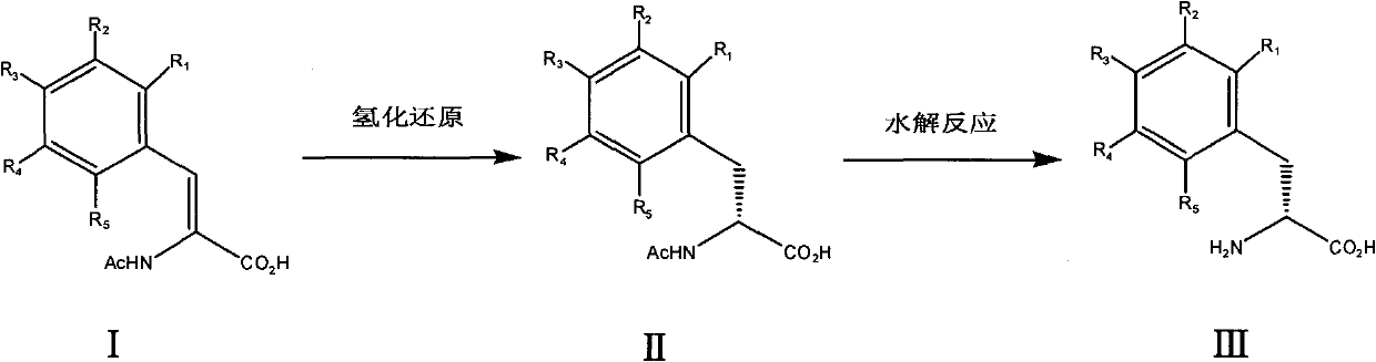 Chemical synthesis method of chiral D-phenylalanine