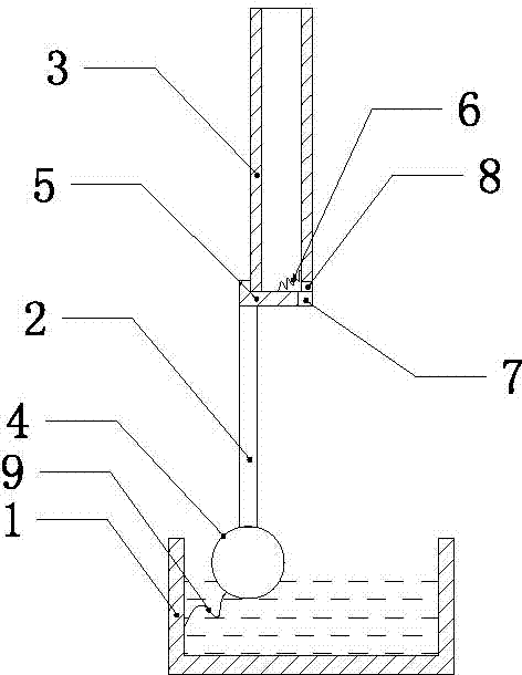 Water supplement device for animal water drinking
