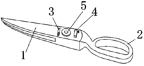 Turning two-sided scissors