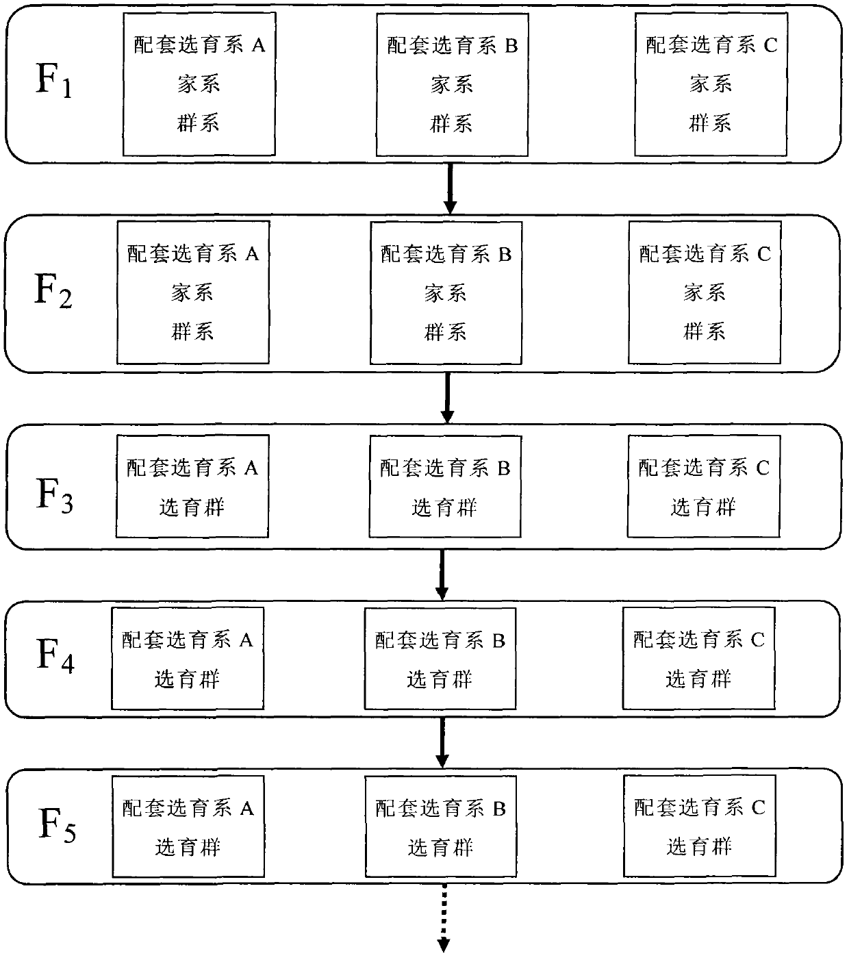 Method for establishing and breeding three matched breeding systems of Eriocheir sinensis